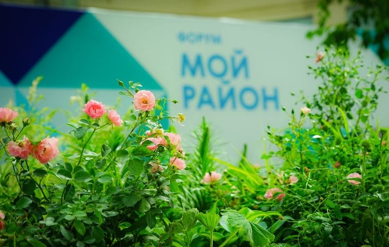 Цветы Лета Интернет Магазин Москва