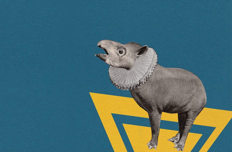 фестиваль коллажа