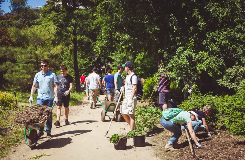 Аптекарский огород