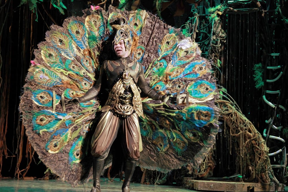 Маугли губернский театр. Маугли губернский театр. Книга джунглей губернский театр. Илья малаков маугли. Спектакль в московском губернском театре книга джунглей роль павлина.