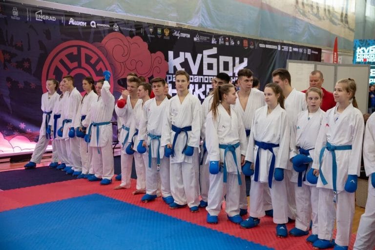 Фестиваль спортивных единоборств