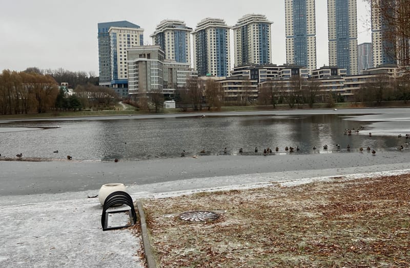 парк, снег, утки, пруд