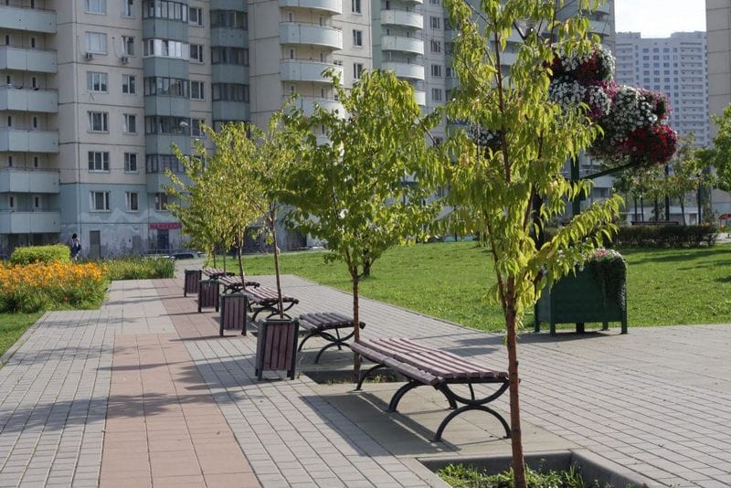 благоустройство, деревья, лавочки