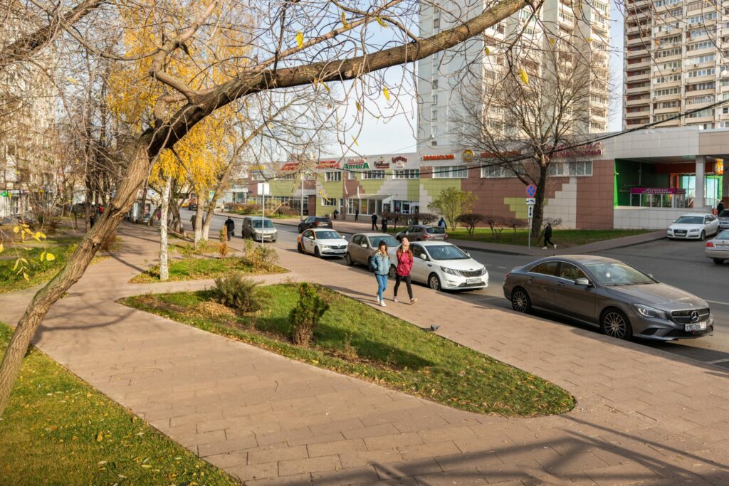 деревья, благоустройство