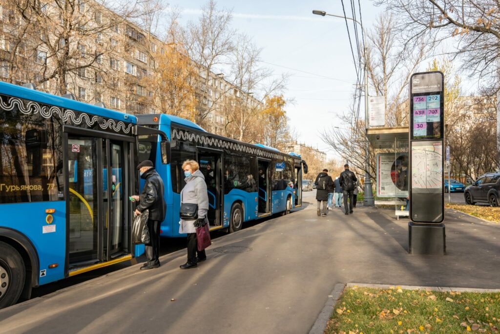 деревья, благоустройство