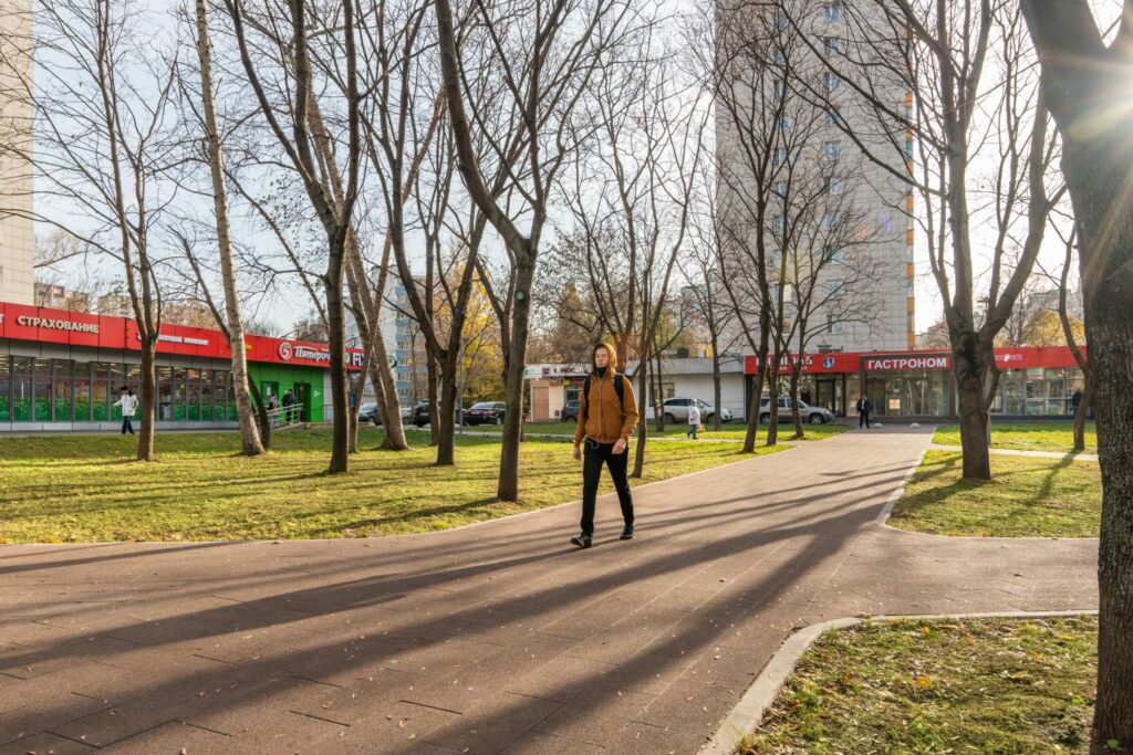 деревья, благоустройство
