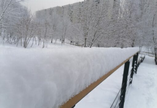 снег, погода, зима. Фото Юлии Смагринской