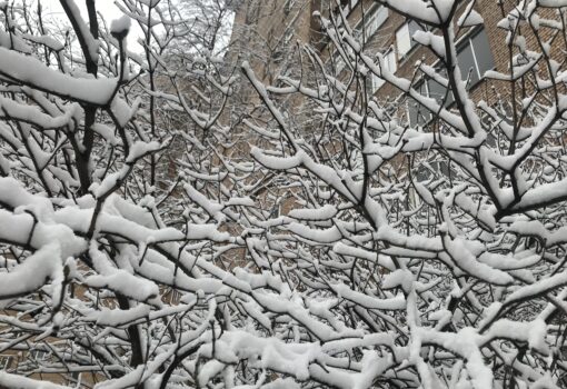 Погода, зима