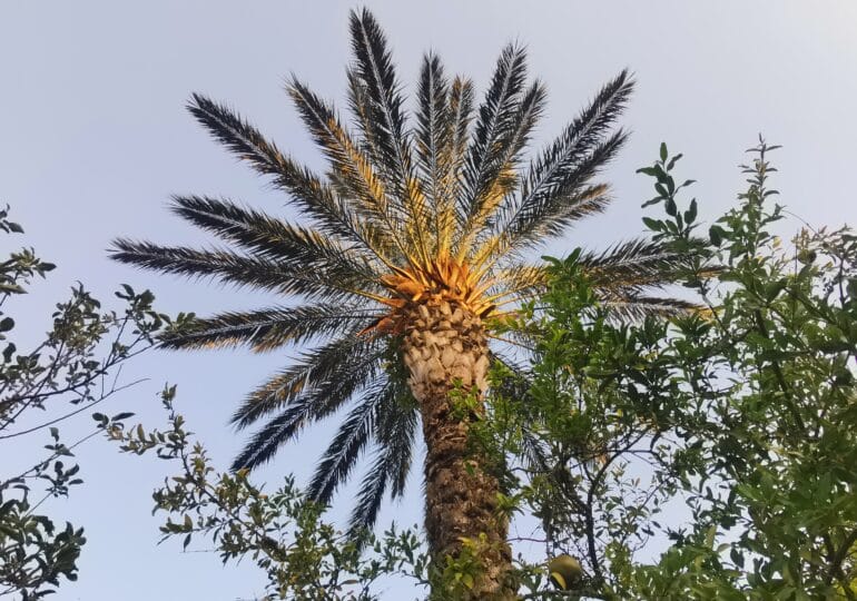 Российские туристы демонстрируют стойкое стремление сэкономить