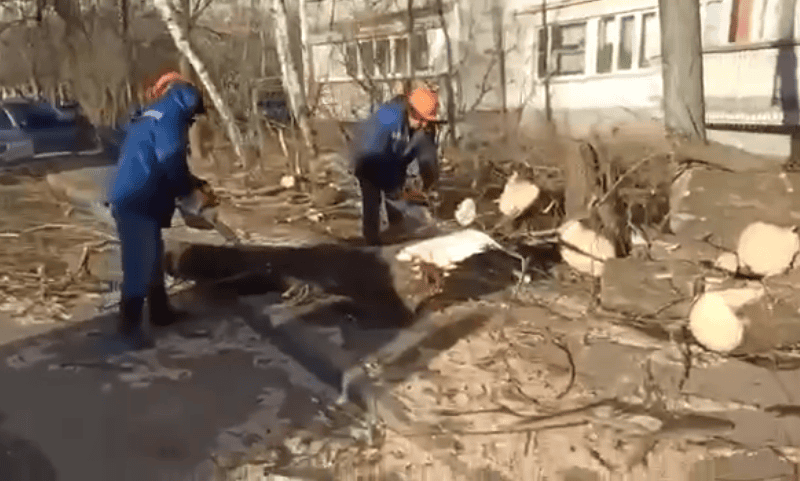 машина чтобы пилить асфальт. ермак в северном тушине на улице фабрициуса. дерево упало на дом в зеленогорске. москву пилят. москву пилят.