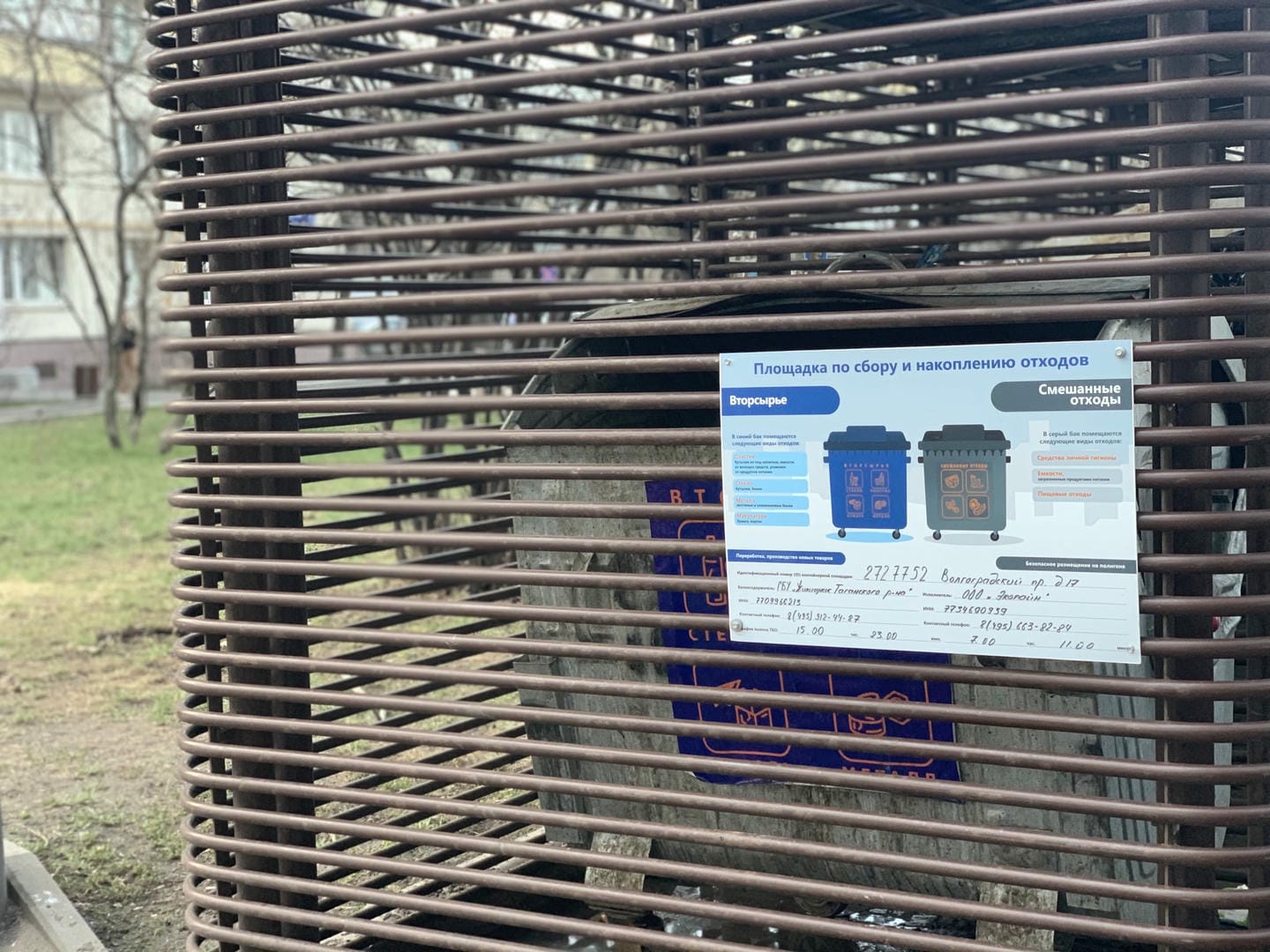 раздельный сбор мусора, фото Наталия Бахарева