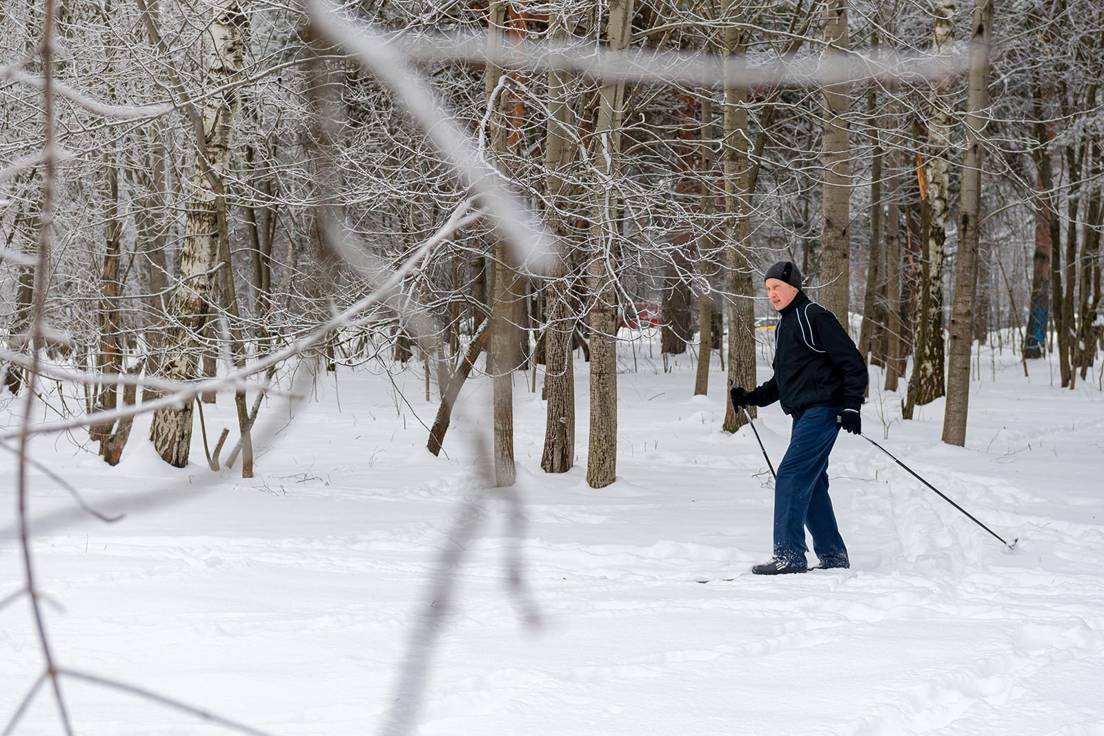 зима, лыжи, спорт Фото mos.ru