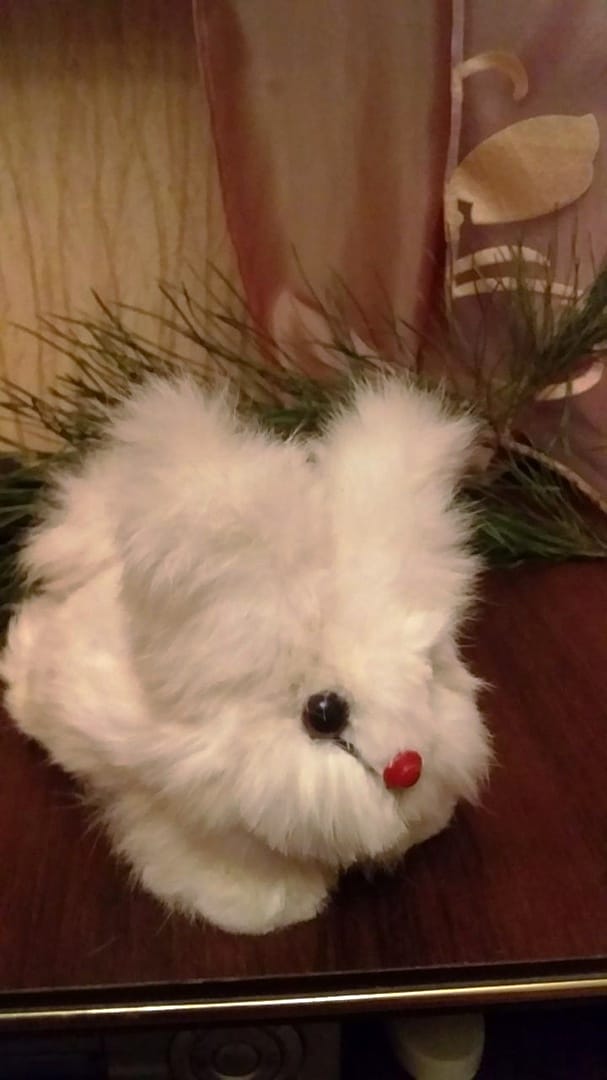 Апалькова Л.Н.