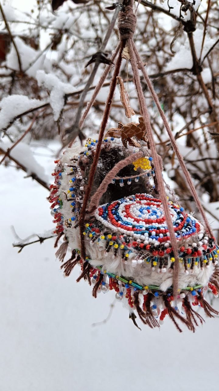 Астапенко Е.Д.