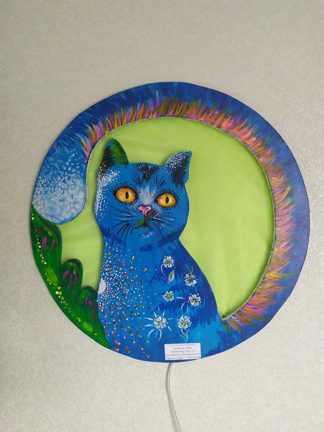 Коротицына Д.П., 13 лет