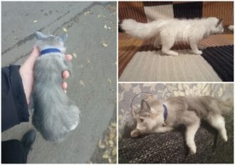 Пистер В.В., 18 лет