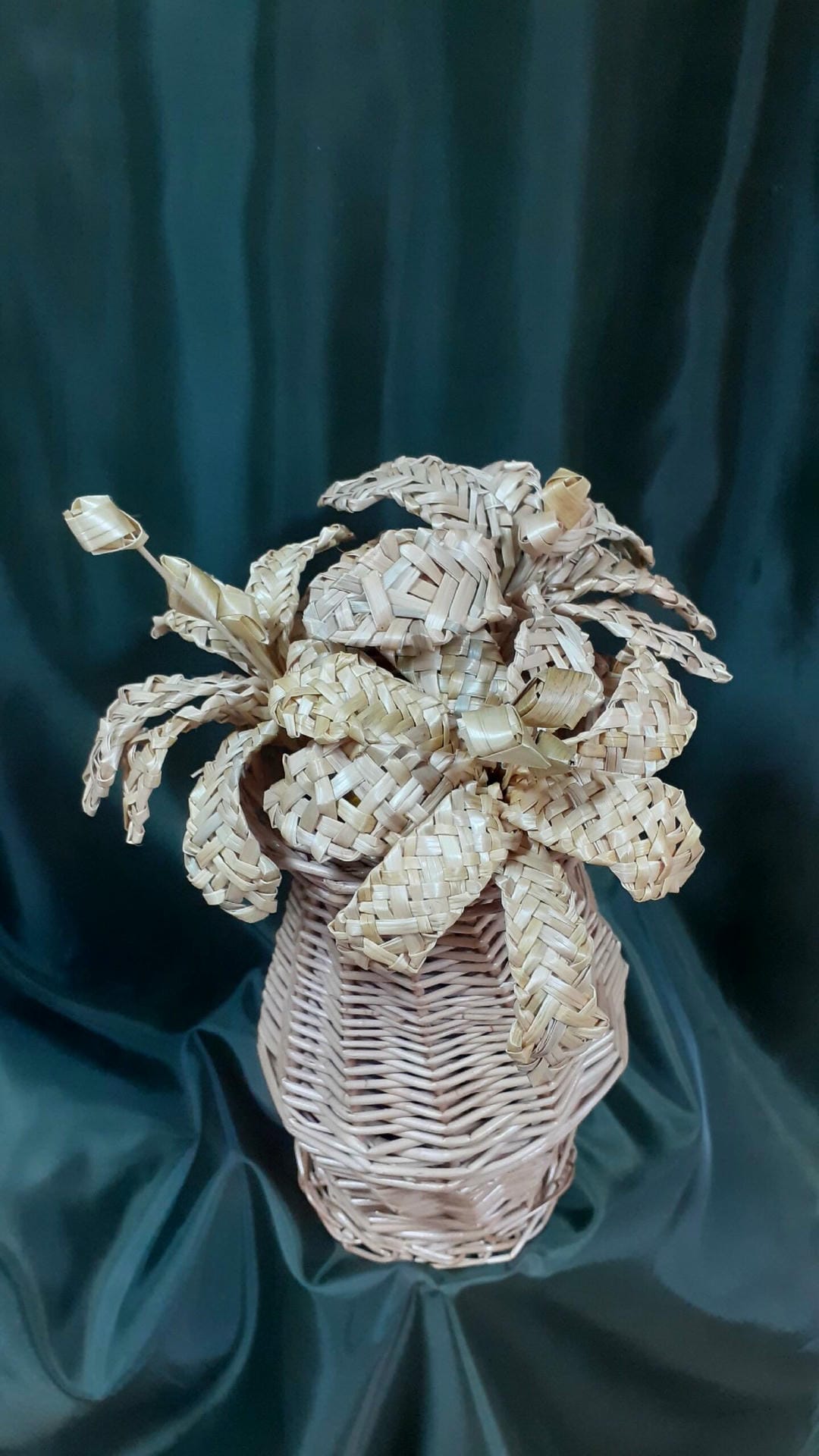 Первухиной Е.В.