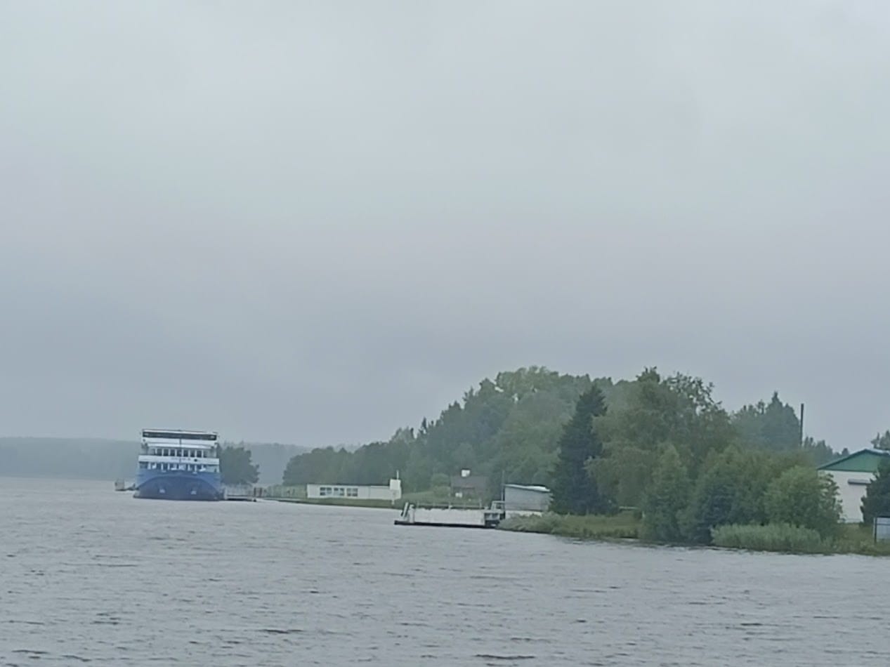 Вишневецкий