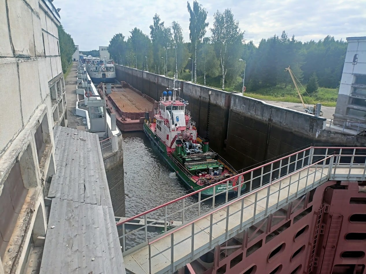 Вишневецкий