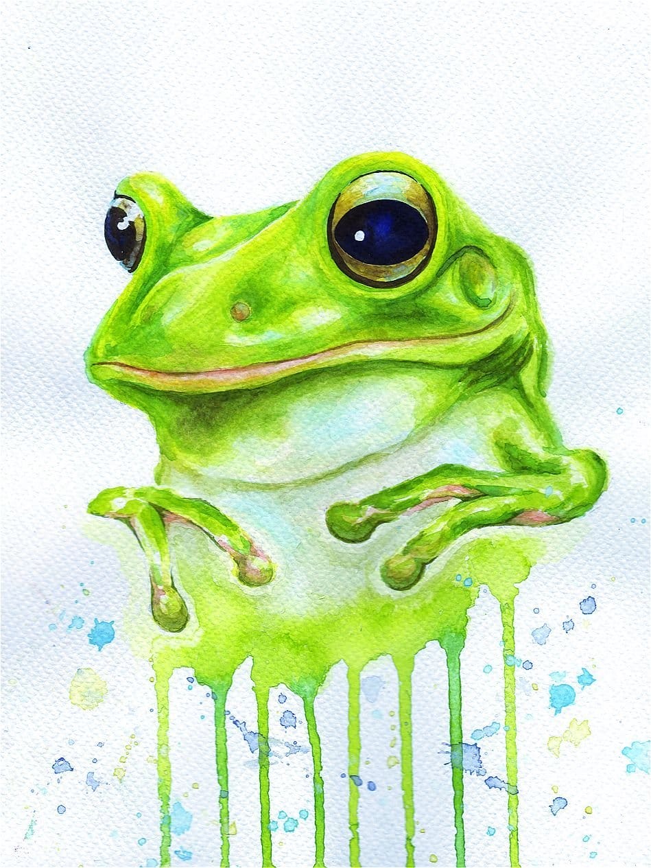 kartinkin.net