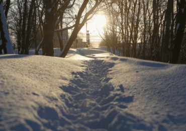 Южное Бутово становится все более комфортным для жителей