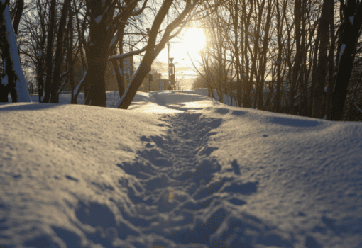 зима, снег, мороз, Фото Андрея Никеричева / агентство «Москва»