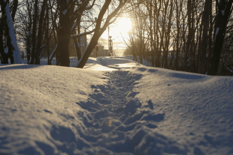Фантастика жизни и ее дуализм