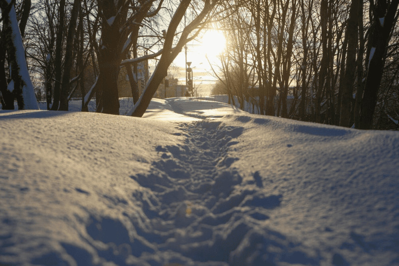 зима, снег, мороз, Фото Андрея Никеричева / агентство «Москва»