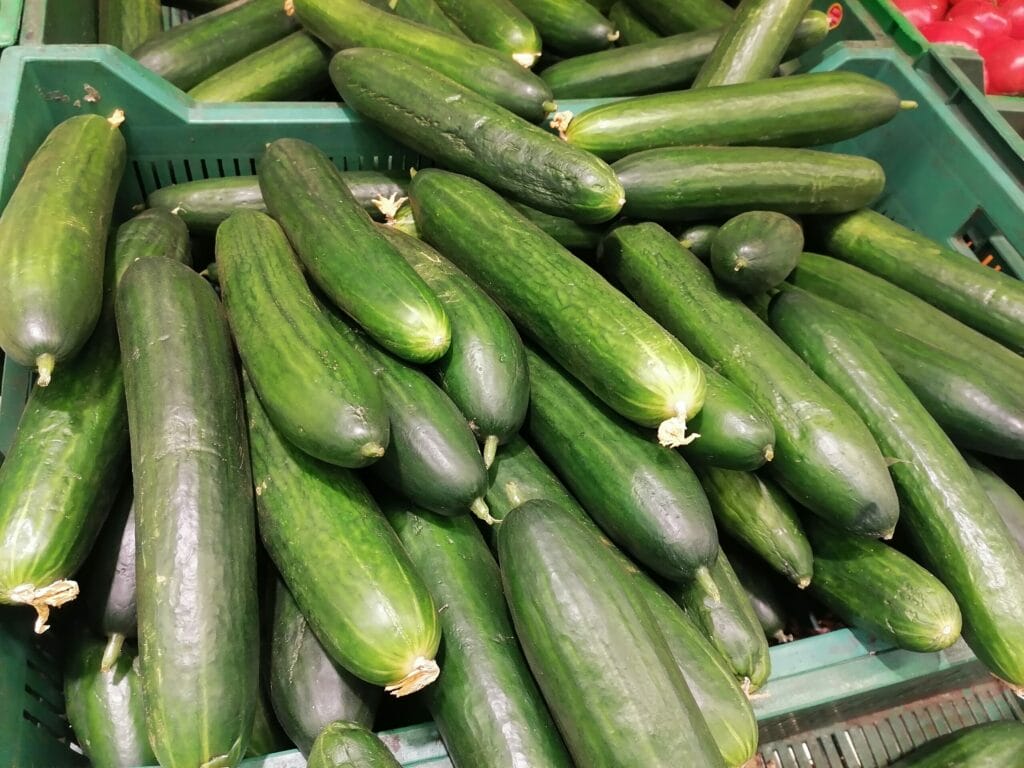 огурцы Фото: Юлия Смагринская.