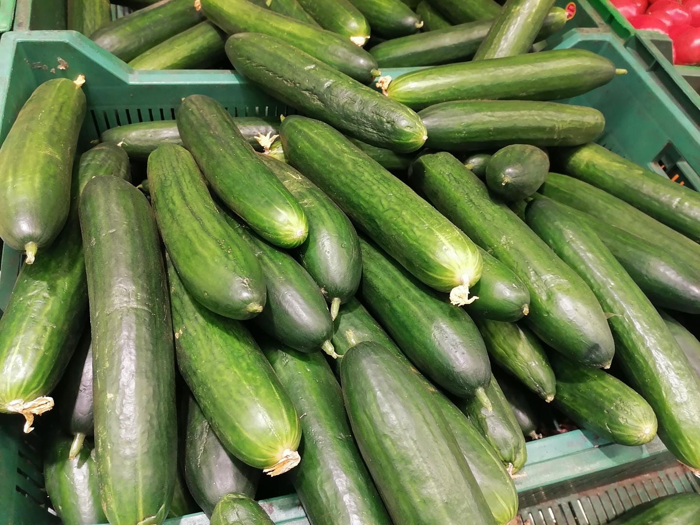 огурцы Фото: Юлия Смагринская.