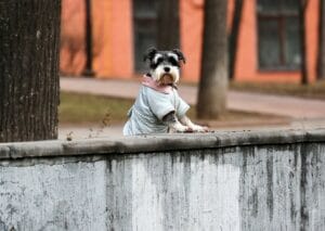 Хроника происшествий с 24 по 30 ноября