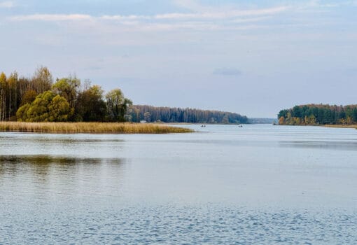 весна половодье природа Фото предоставил Мосводоканал