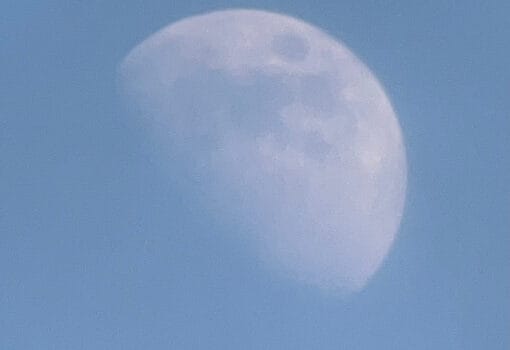 Фото Сергея Волкова