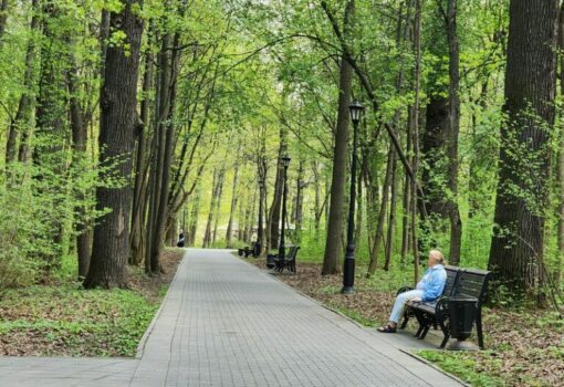 парк, лето, деревья, фото Юлия Смагринская