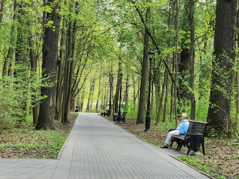 парк, лето, деревья, фото Юлия Смагринская