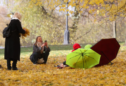 осень, листья, парк, Фото Василия Кузьмичёнка / агентство «Москва»