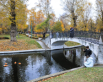 осень ,октябрь, парк, Фото Сергея Киселева / агентство «Москва»
