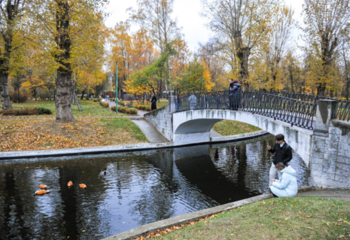 осень ,октябрь, парк, Фото Сергея Киселева / агентство «Москва»