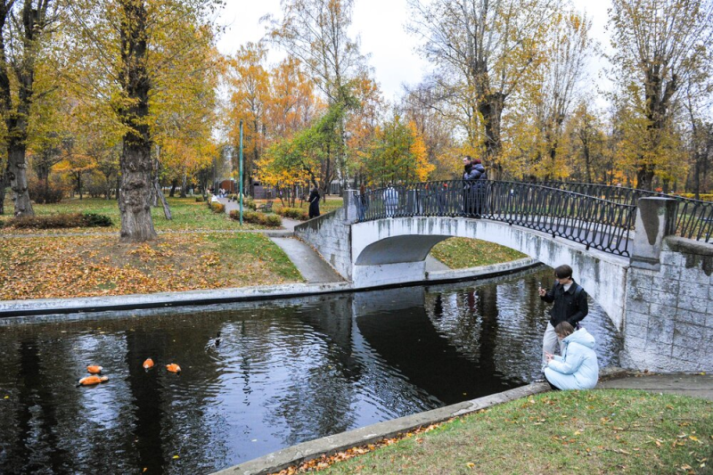 осень ,октябрь, парк, Фото Сергея Киселева / агентство «Москва»