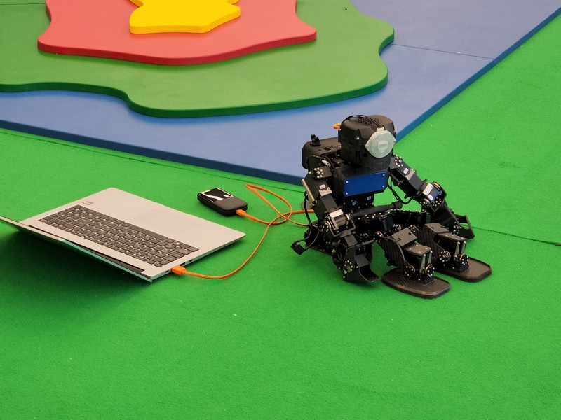 робот, фото Юлии Смагринской