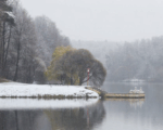 первый снег, пруд, ноябрь, Фото Василия Кузьмичёнка / агентство «Москва»