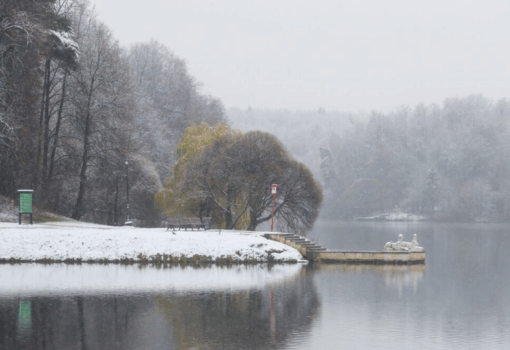 первый снег, пруд, ноябрь, Фото Василия Кузьмичёнка / агентство «Москва»
