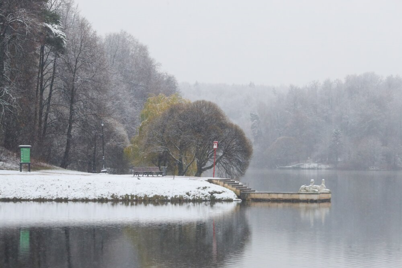 первый снег, пруд, ноябрь, Фото Василия Кузьмичёнка / агентство «Москва»