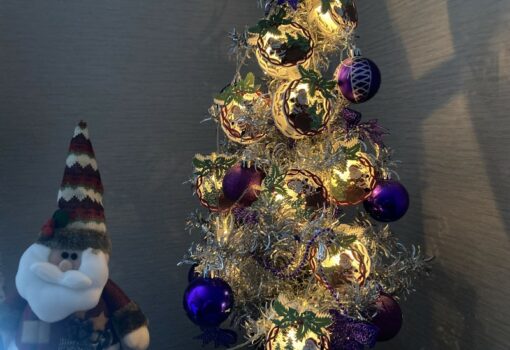 Елка новый год праздник Фото Нины Донских