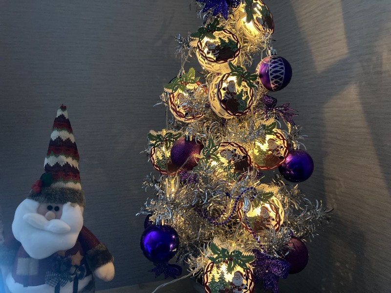 Елка новый год праздник Фото Нины Донских