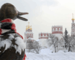 зима, снег, мороз, Новодевичий монастырь, Фото Ярослава Чингаева / агентство «Москва»