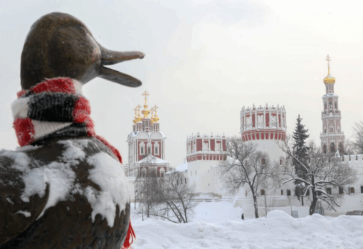 зима, снег, мороз, Новодевичий монастырь, Фото Ярослава Чингаева / агентство «Москва»