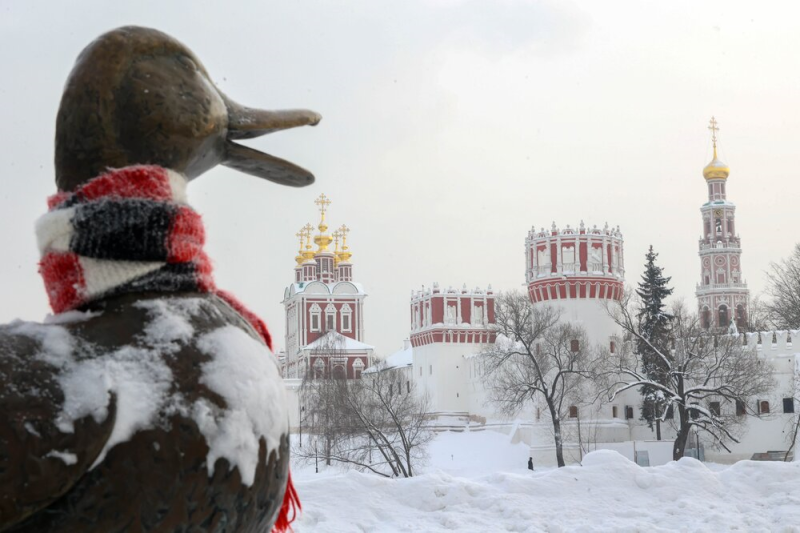 зима, снег, мороз, Новодевичий монастырь, Фото Ярослава Чингаева / агентство «Москва»