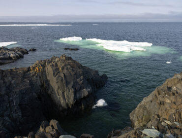 Московские школьники и студенты колледжей снова отправятся в Арктику