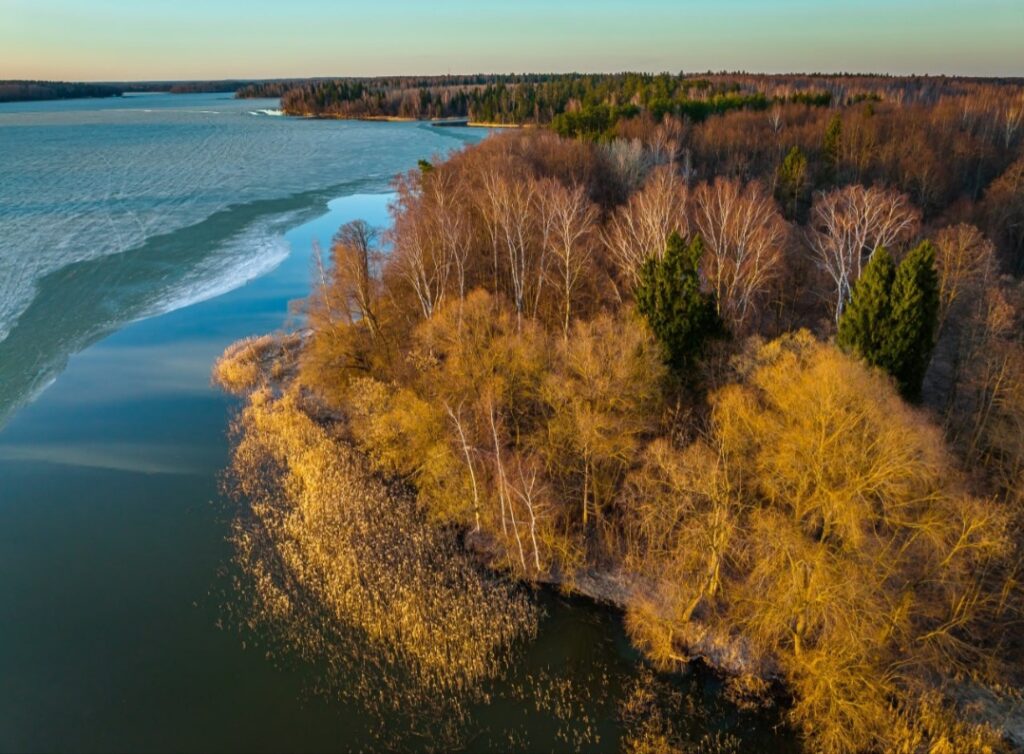 Фото mos.ru природа осень вода отдых